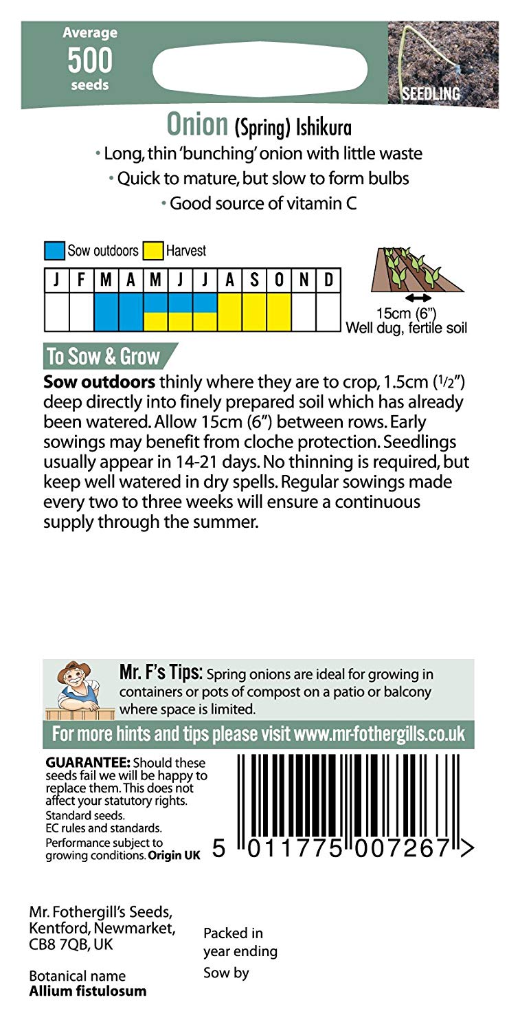 Mr.Fothergill's Spring Onion Ishikura Seeds