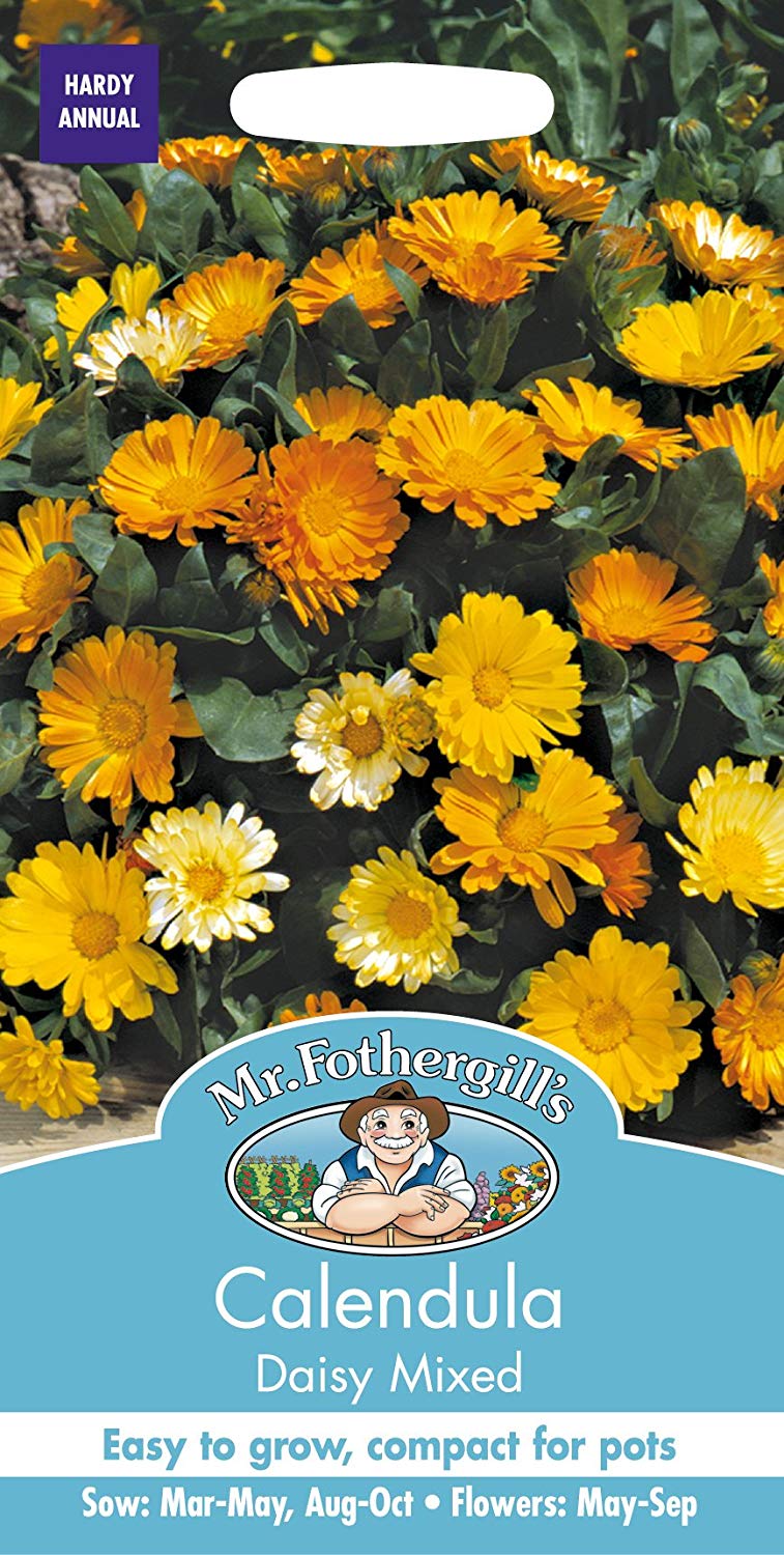 Mr.Fothergill's Calendula Daisy Mixed Flower Seeds