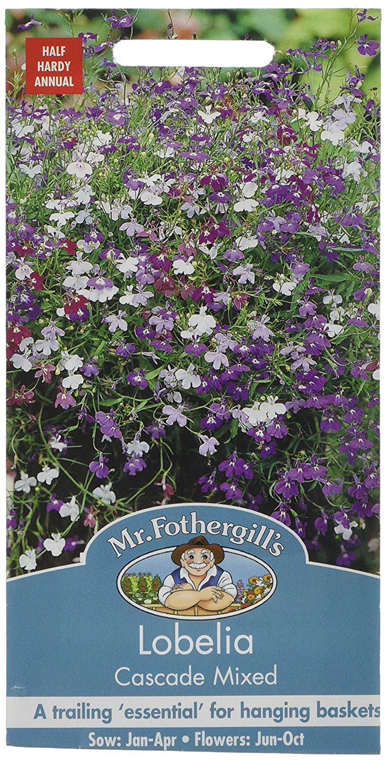 Mr.Fothergill's Lobelia Cascade Mixed Flower Seeds