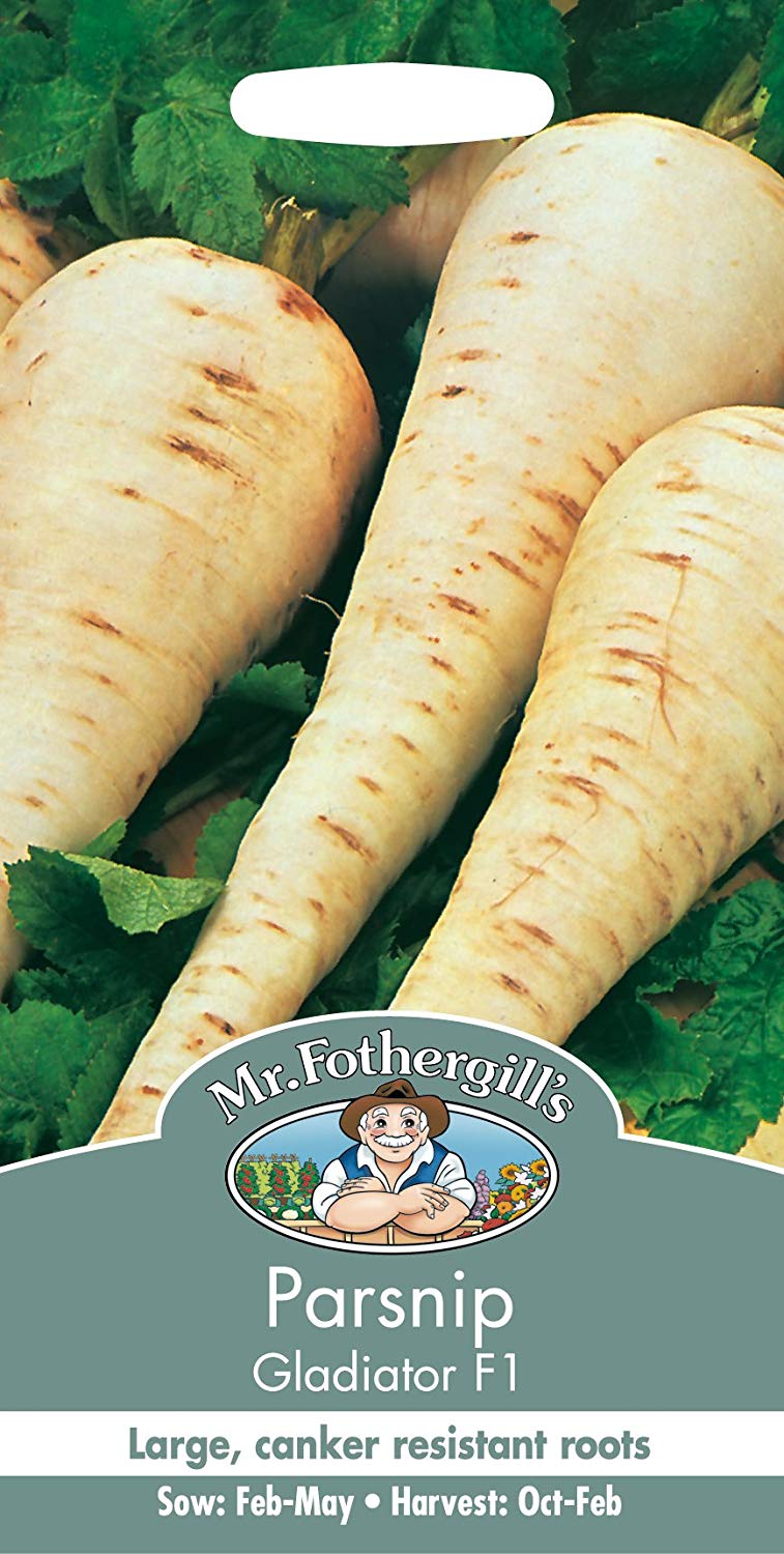 Mr.Fothergill's Parsnip Gladiator F1 Seeds