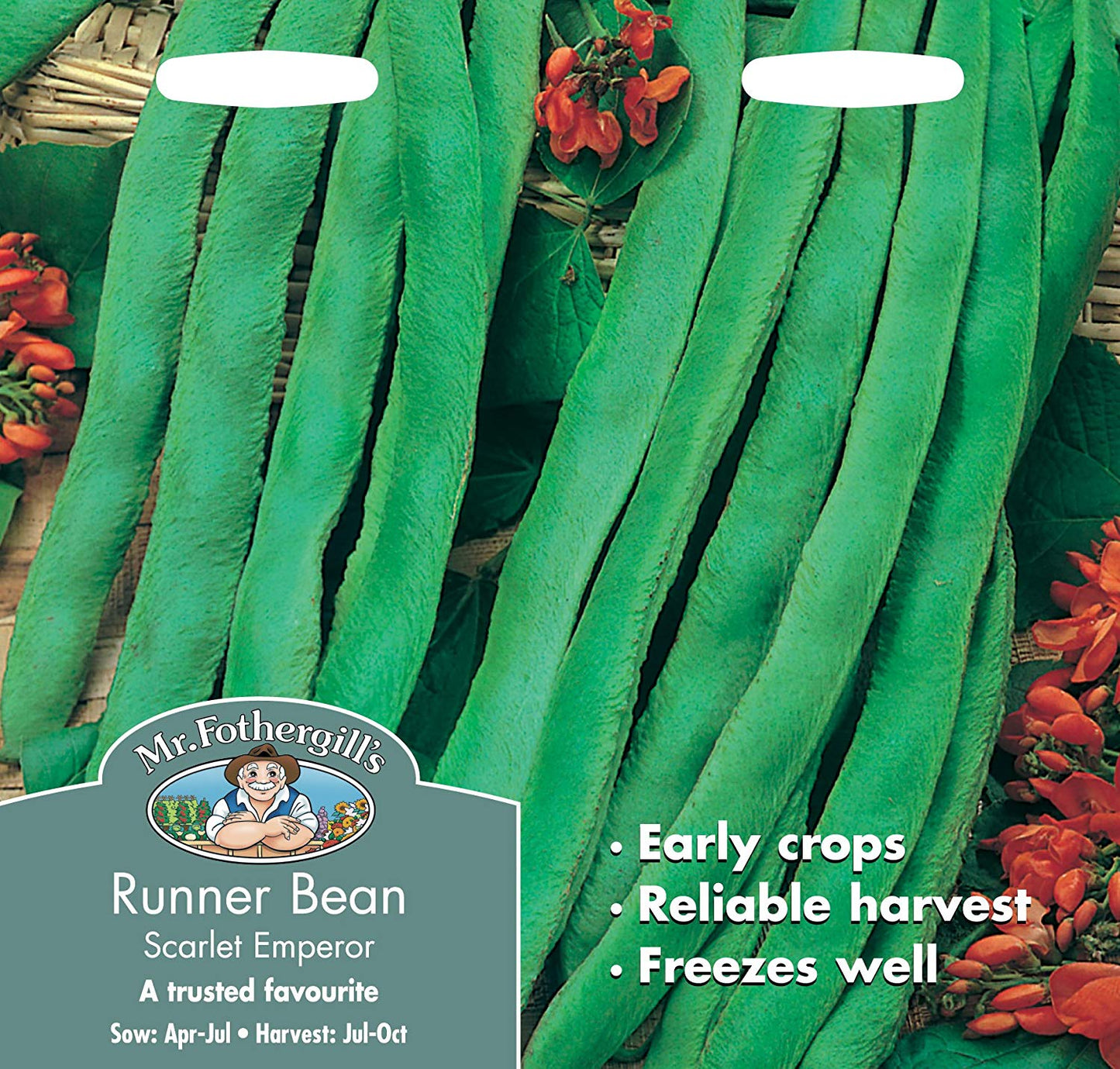 Mr.Fothergill's Runner Bean Scarlet Emperor Seeds