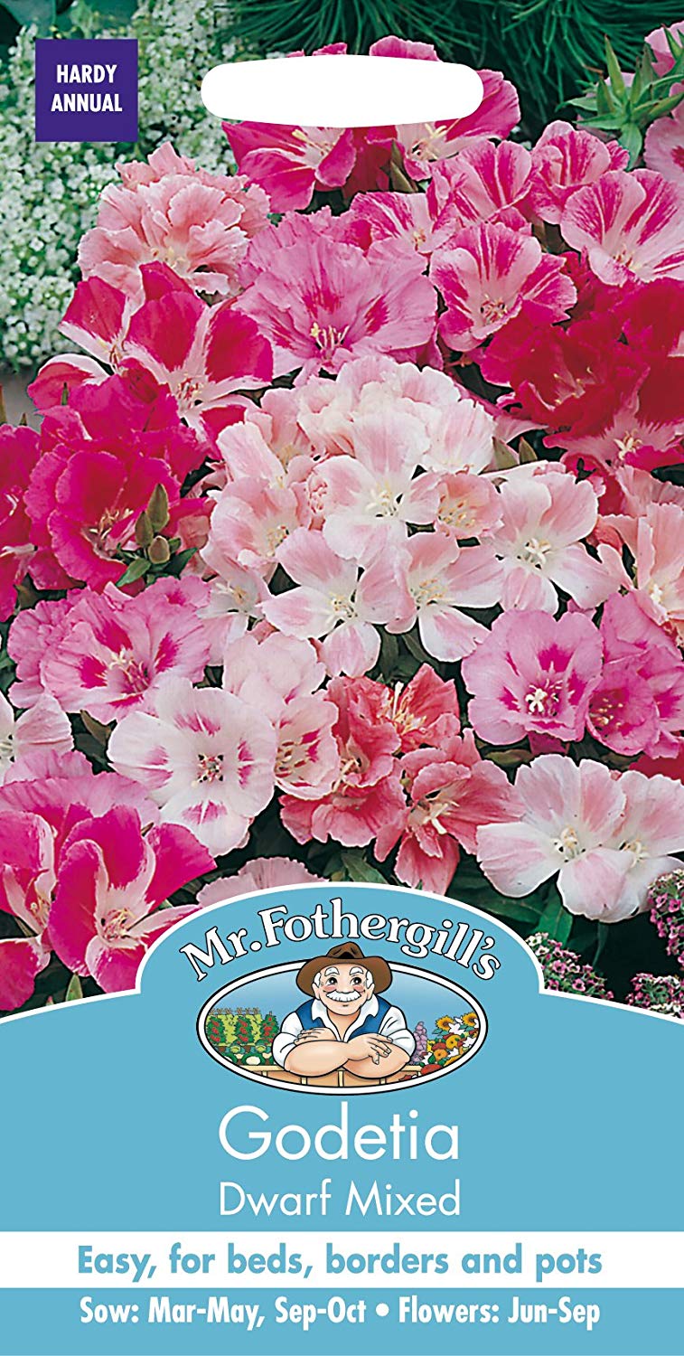 Mr.Fothergill's Godetia Dwarf Mixed Flower Seeds