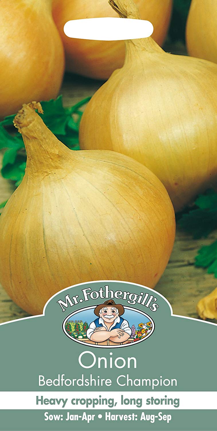 Mr.Fothergill's Onion Bedford Champion Seeds