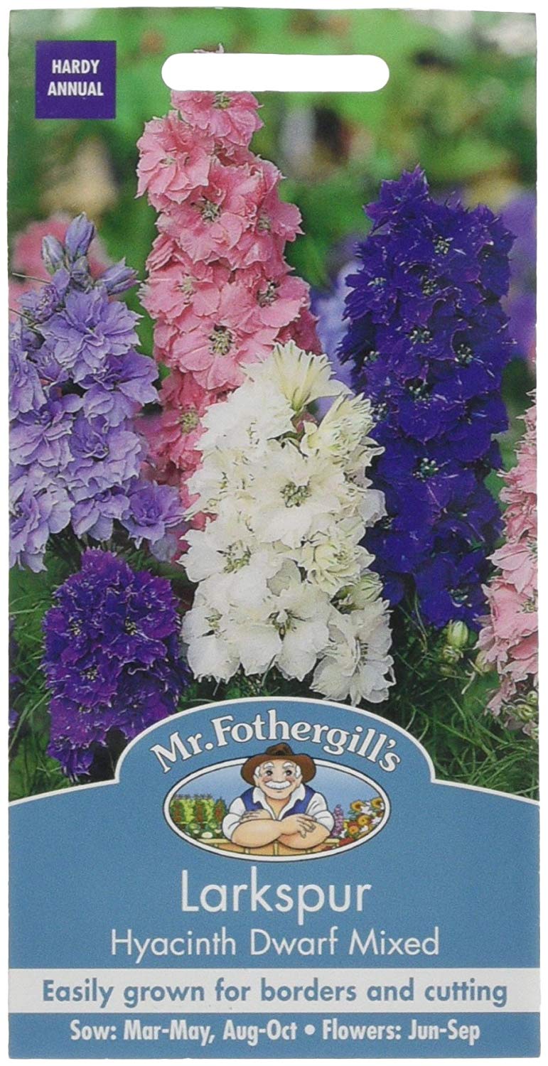 Mr.Fothergill's Larkspur Hyacinth Dwarf Mixed Flower Seeds