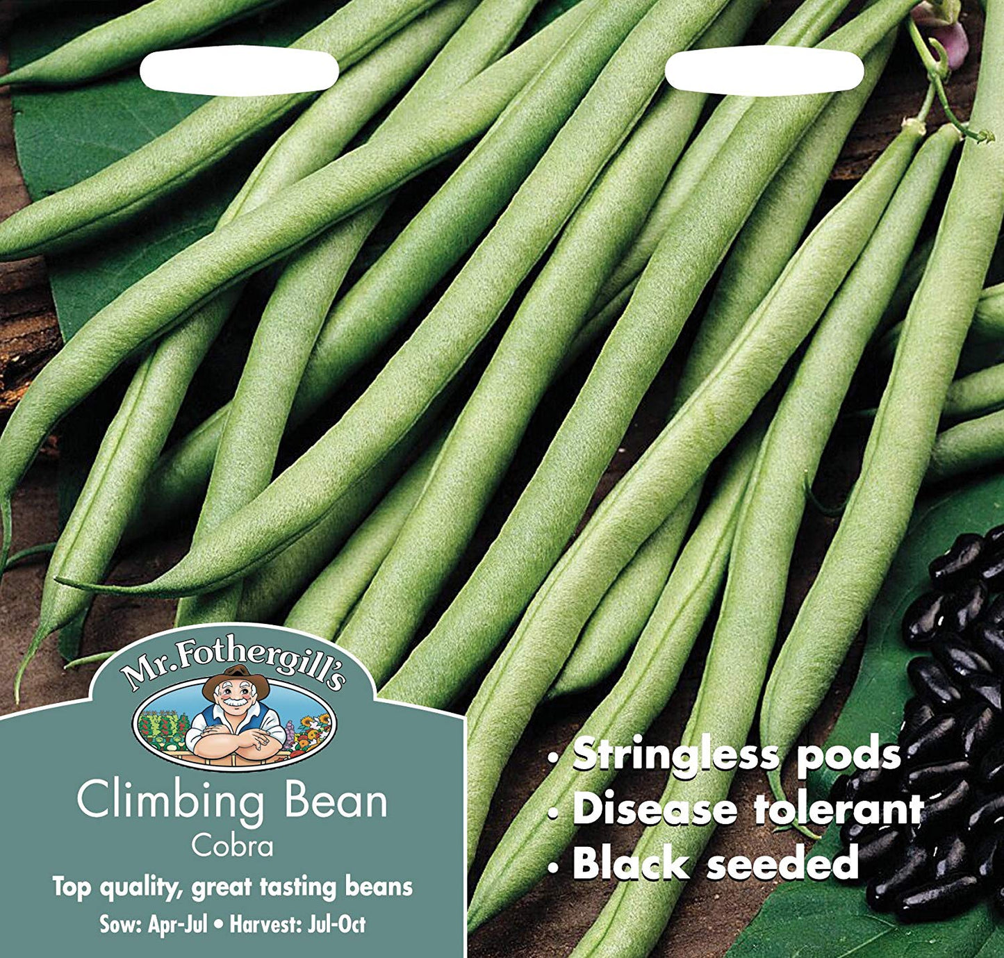 Mr.Fothergill's Climbing Bean Cobra Seeds
