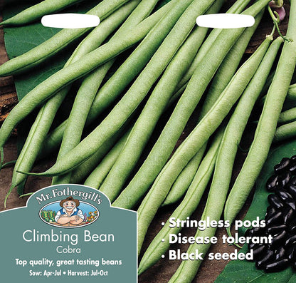 Mr.Fothergill's Climbing Bean Cobra Seeds