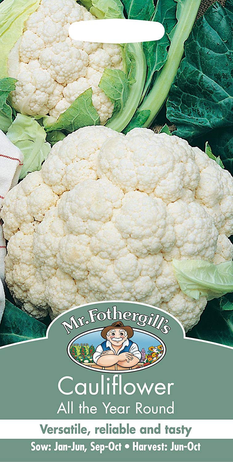 Mr.Fothergill's Cauliflower All The Year Round Seeds