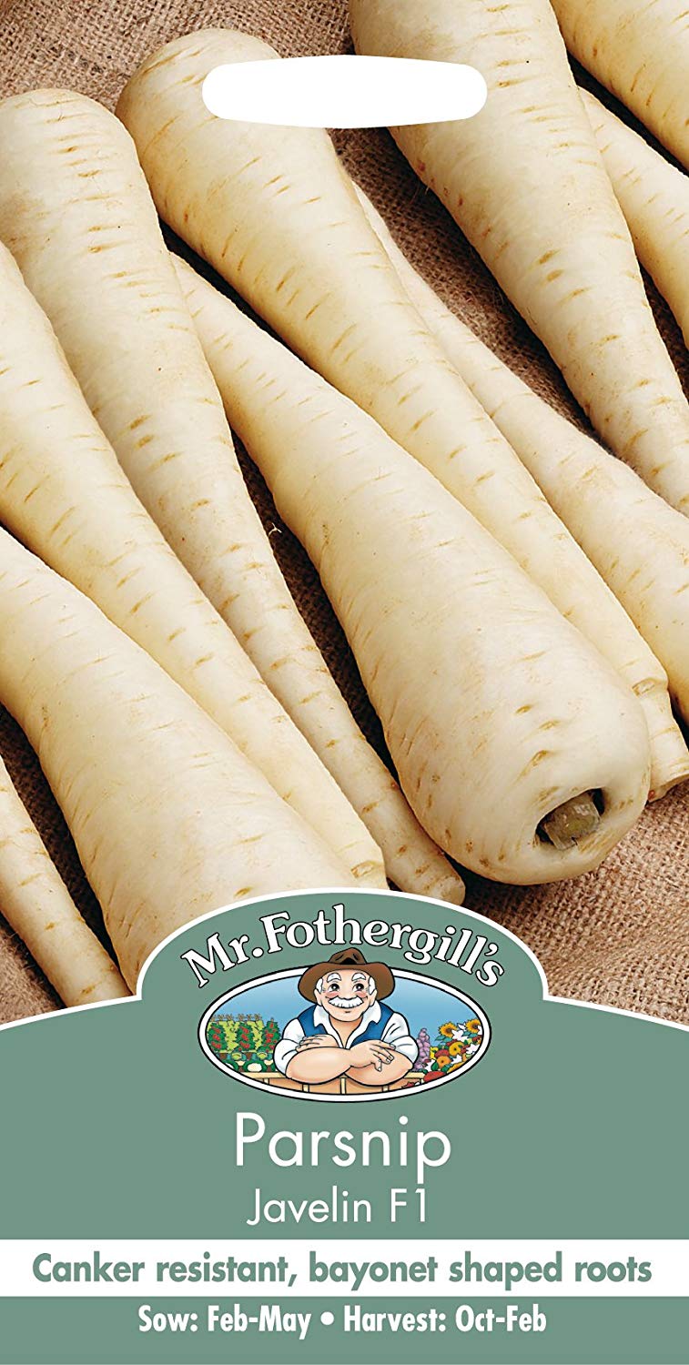 Mr.Fothergill's Parsnip Javelin F1 Seeds