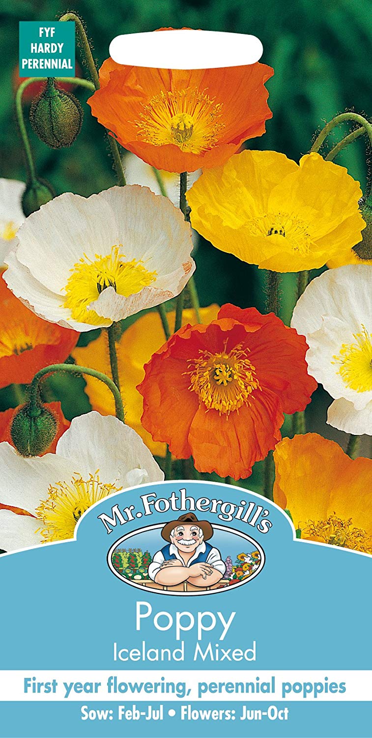 Mr.Fothergill's Poppy Iceland Mixed Flower Seeds