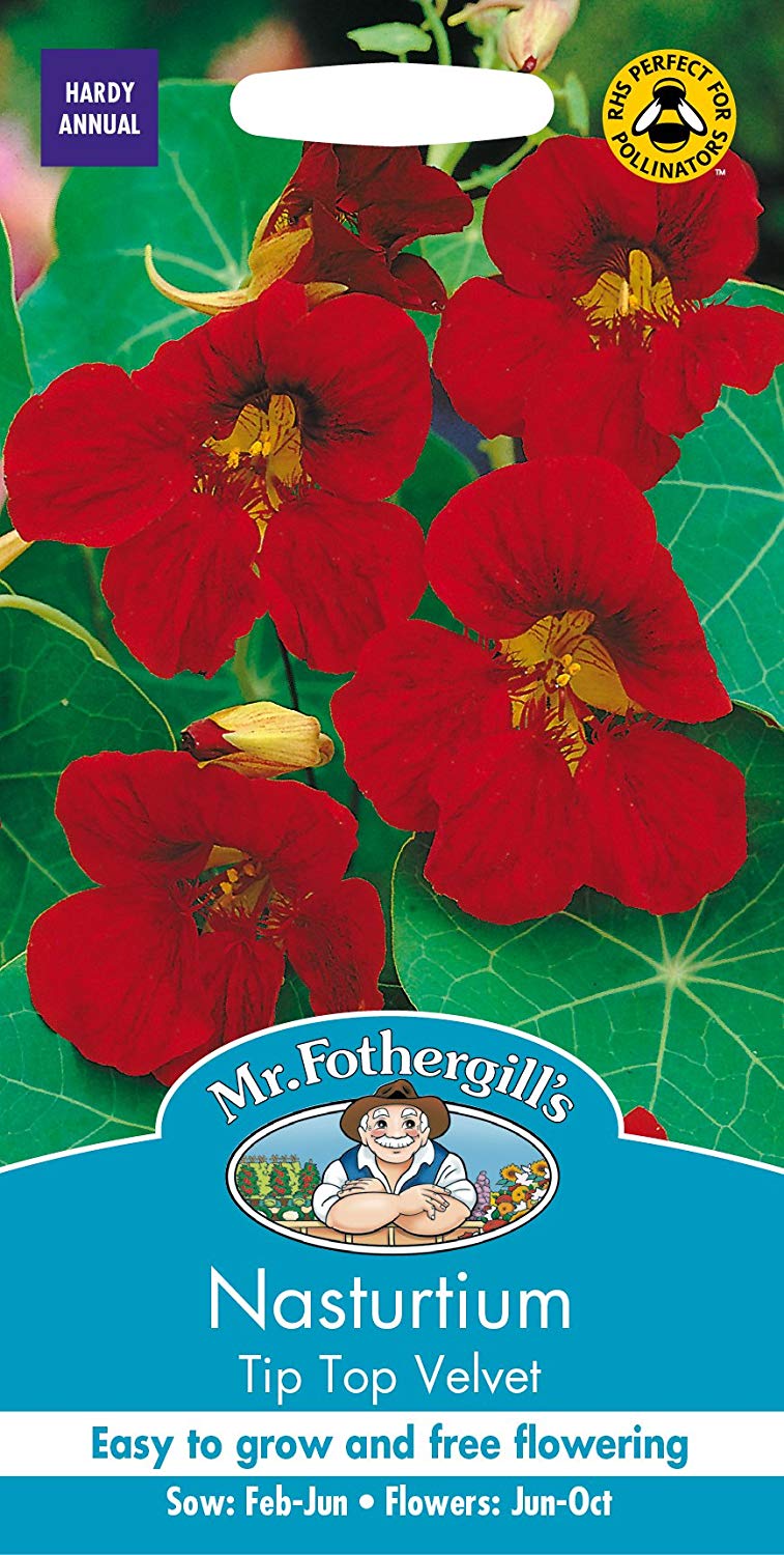 Mr.Fothergill's Nasturtium Tip Top Velvet Flower Seeds