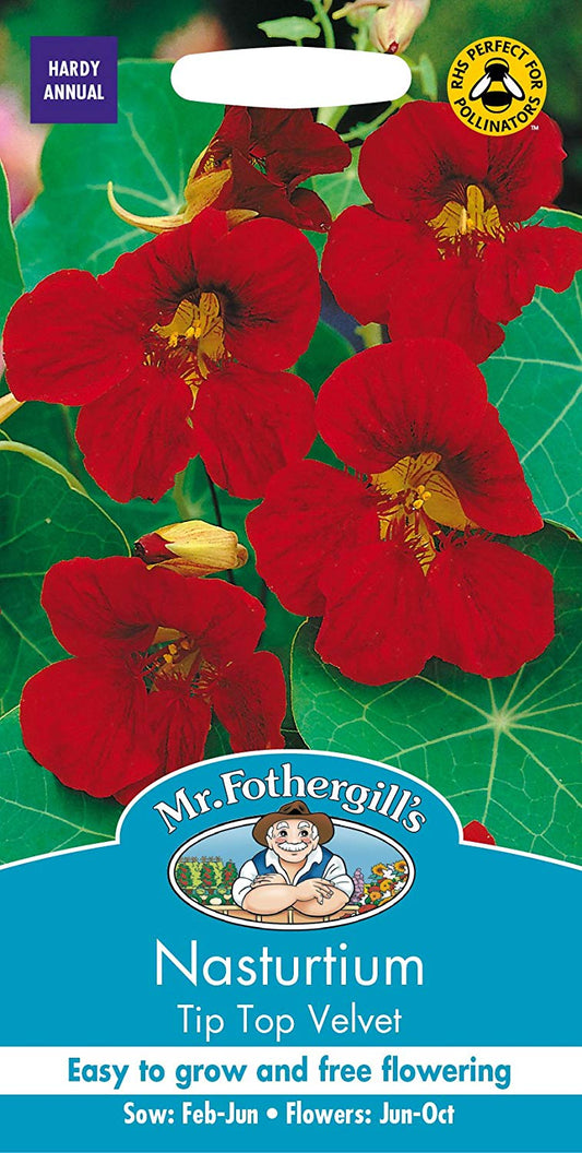 Mr.Fothergill's Nasturtium Tip Top Velvet Flower Seeds