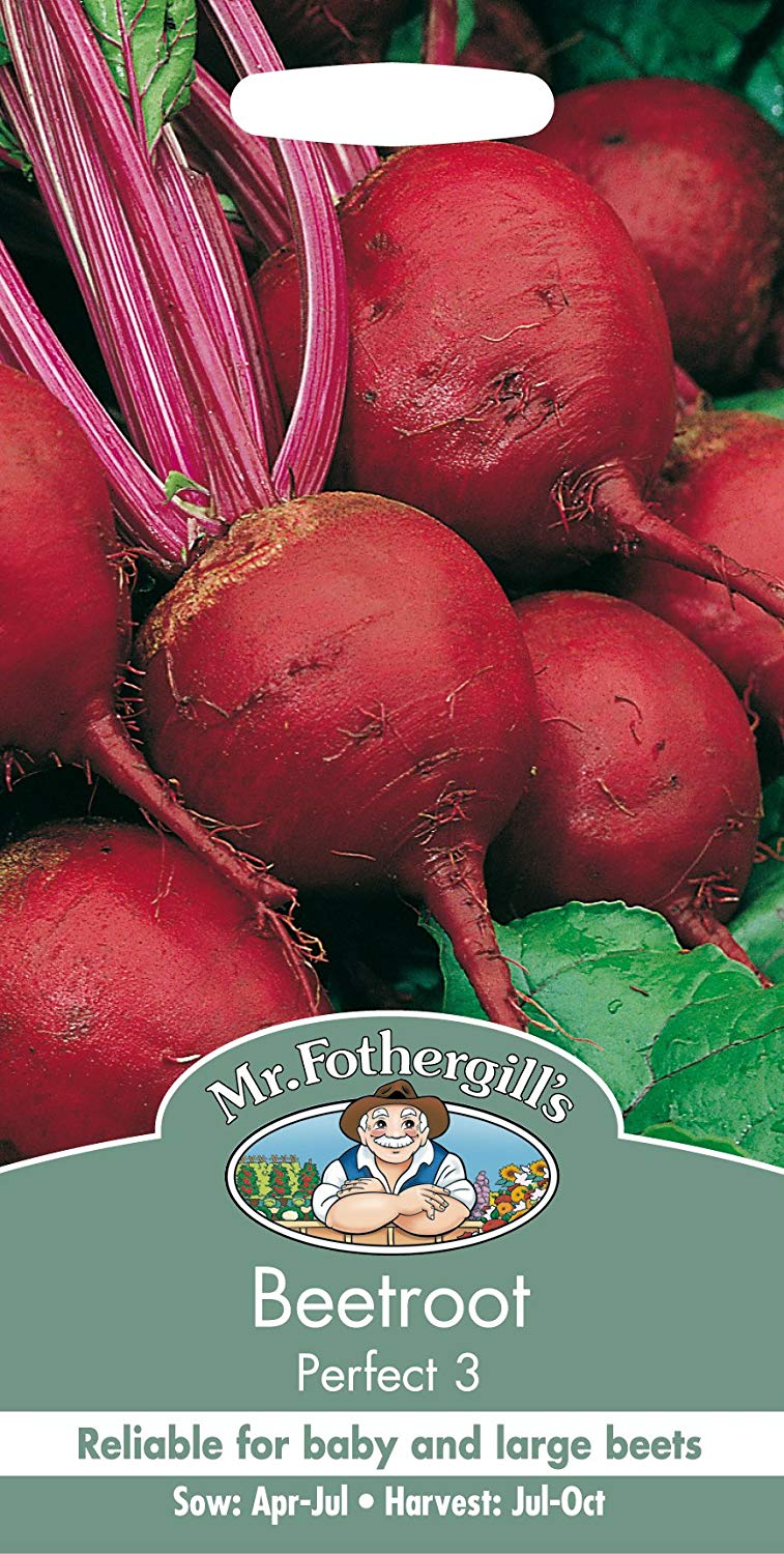 Mr.Fothergill's Beetroot Perfect 3 Seeds