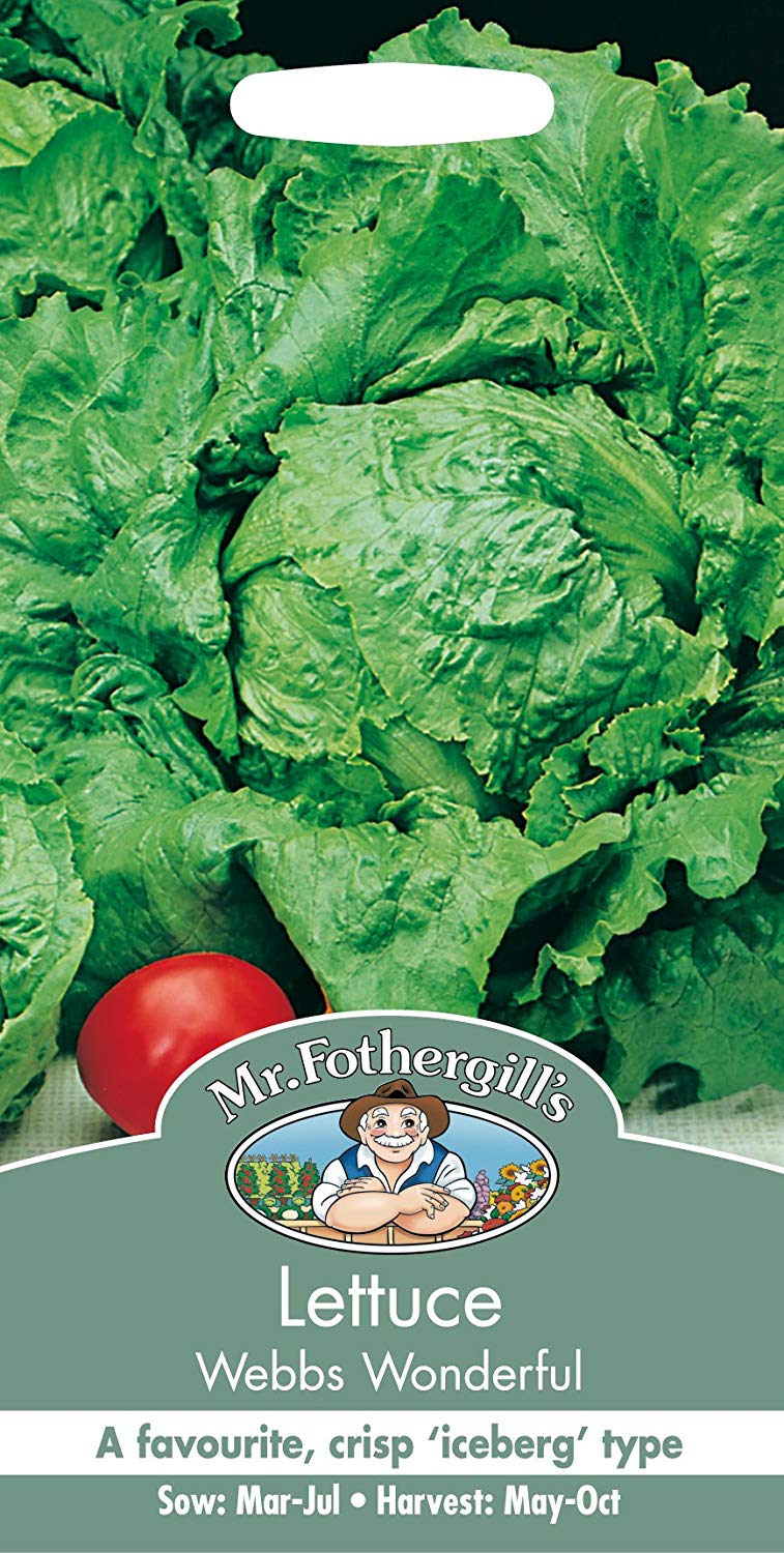 Mr.Fothergill's Lettuce Webbs Wonderful Seeds