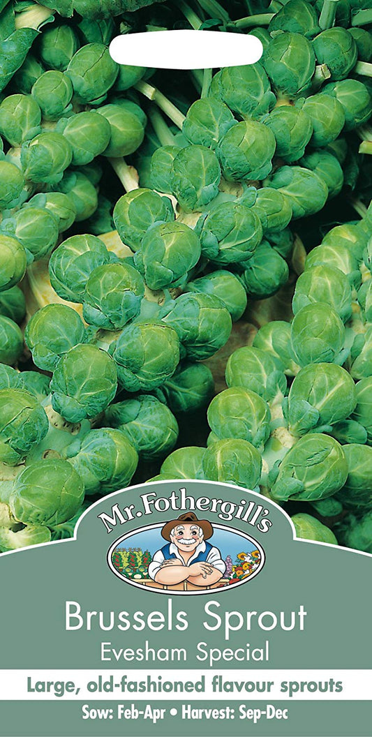 Mr.Fothergill's Brussels Sprout Evesham Special Seeds