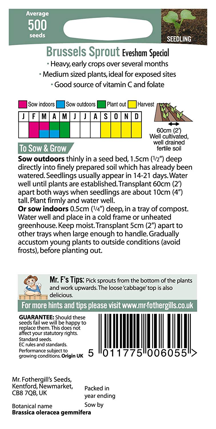 Mr.Fothergill's Brussels Sprout Evesham Special Seeds