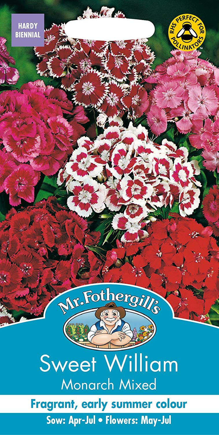 Mr.Fothergill's Sweet William Monarch Mixed Flower Seeds