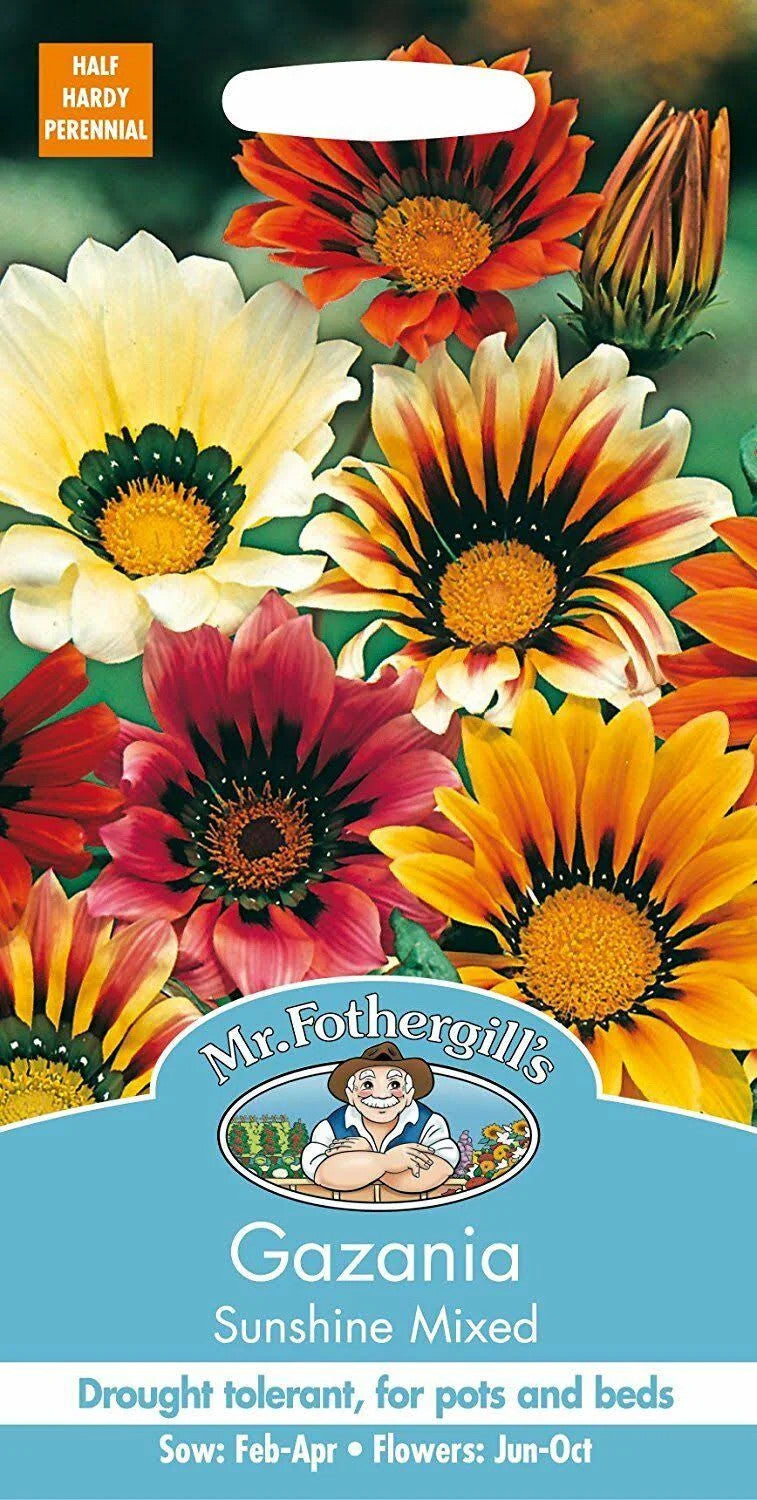 Mr.Fothergill's Gazania Sunshine Mixed