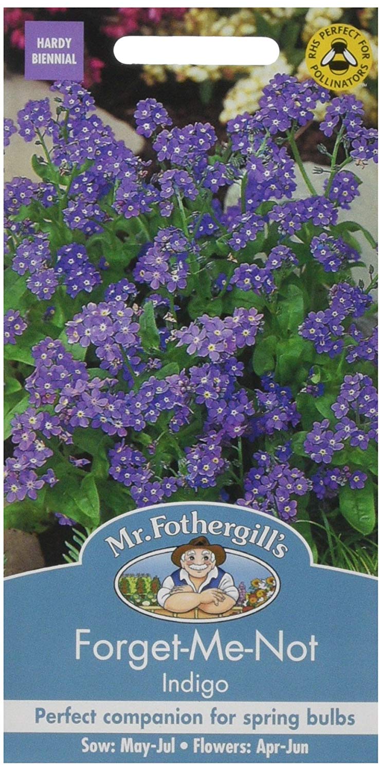 Mr.Fothergill's Forget Me Not Indigo Flower Seeds