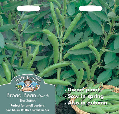 Mr.Fothergill's Broad Bean The Sutton Seeds