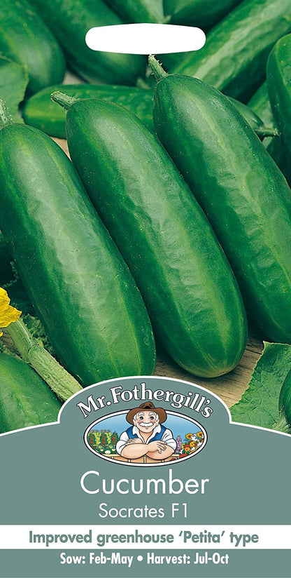 Mr.Fothergill's Cucumber Socrates F1 Seeds