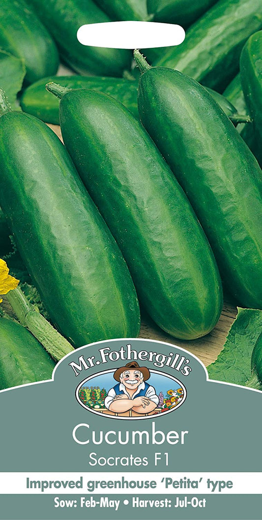 Mr.Fothergill's Cucumber Socrates F1 Seeds