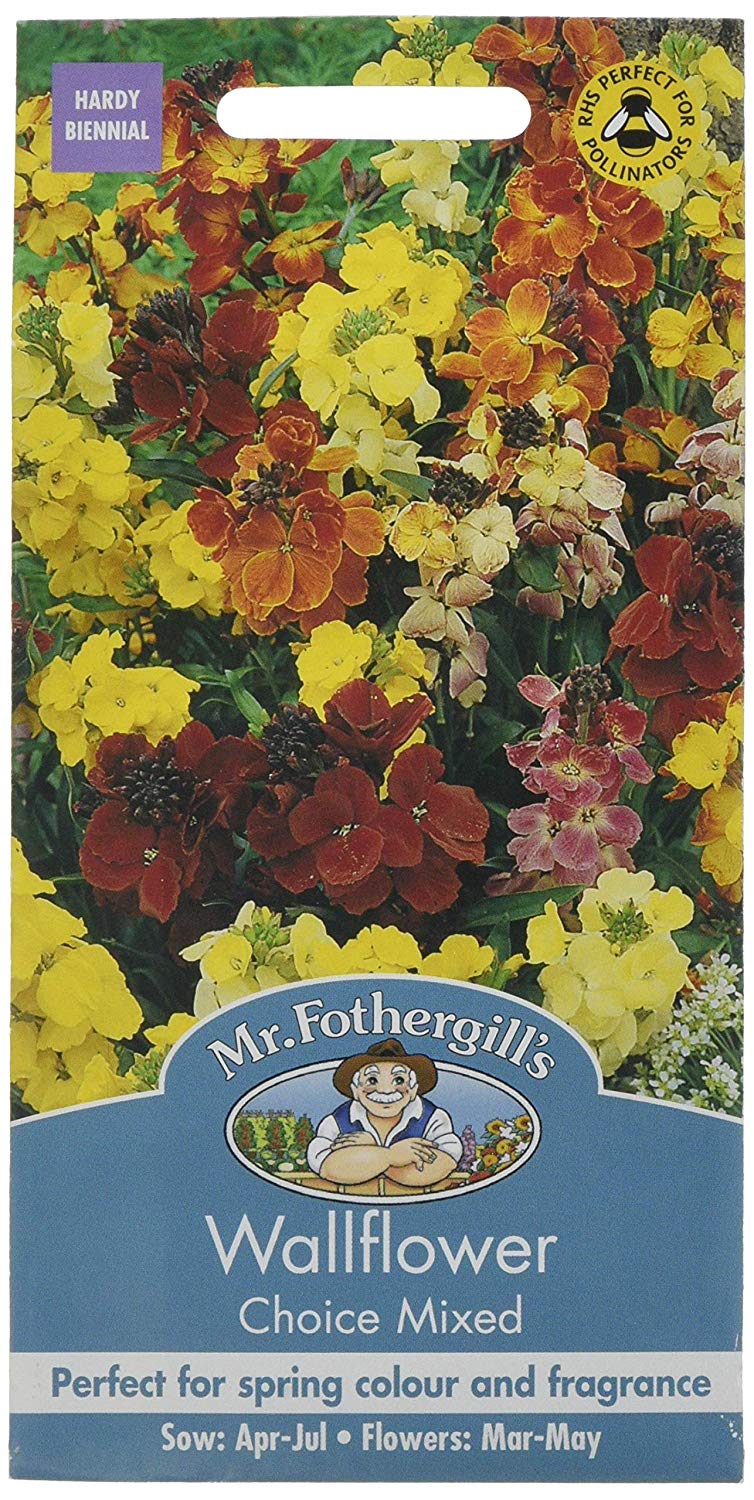 Mr.Fothergill's Wallflower Choice Mixed Flower Seeds