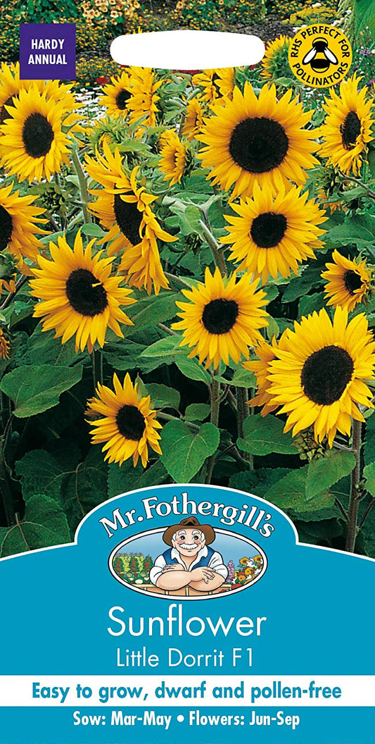 Mr.Fothergill's Sunflower Little Dorrit F1 Flower Seeds