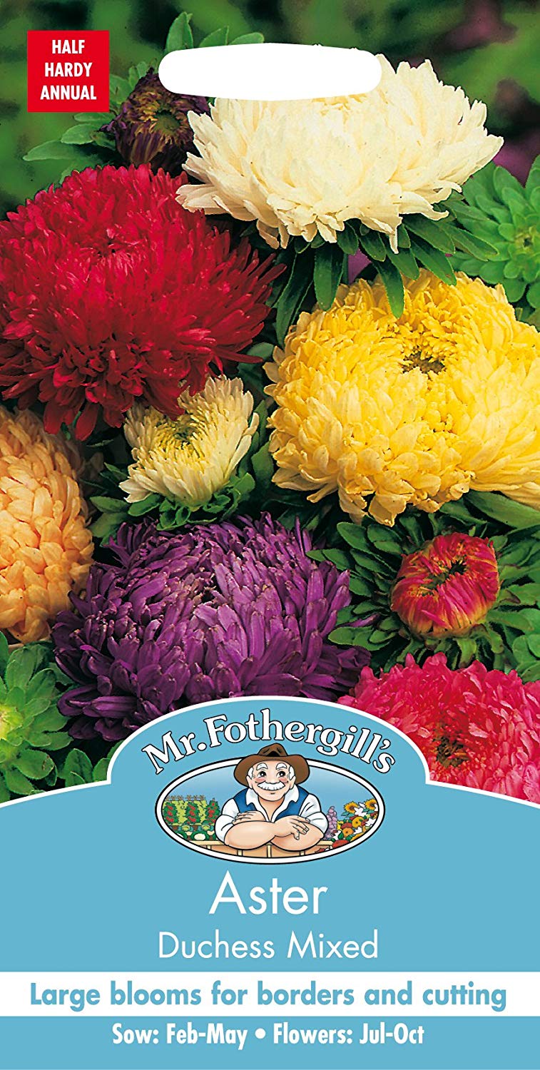 Mr.Fothergill's Aster Duchess Mixed Flower Seeds