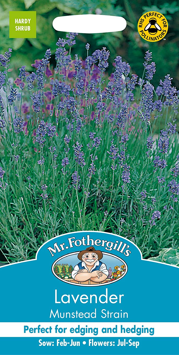 Mr.Fothergill's Lavender Munstead Strain Flower Seeds