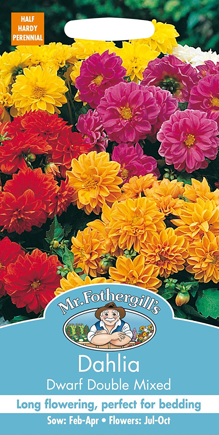 Mr.Fothergill's Dahlia Dwarf Double Mixed Flower Seed