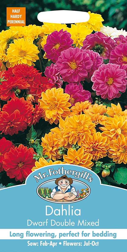 Mr.Fothergill's Dahlia Dwarf Double Mixed Flower Seed