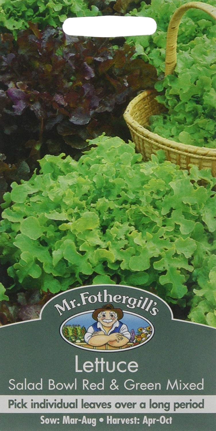 Mr.Fothergill's Lettuce Salad Bowl Red & Green