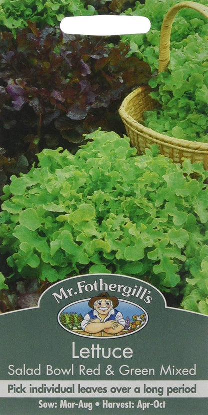 Mr.Fothergill's Lettuce Salad Bowl Red & Green