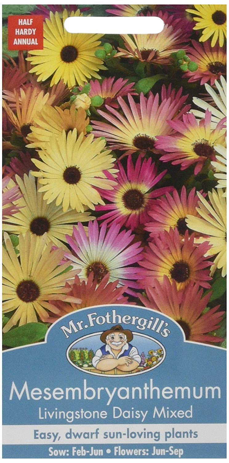 Mr.Fothergill's Mesembryanthemum Livings Daisy Flower Seeds