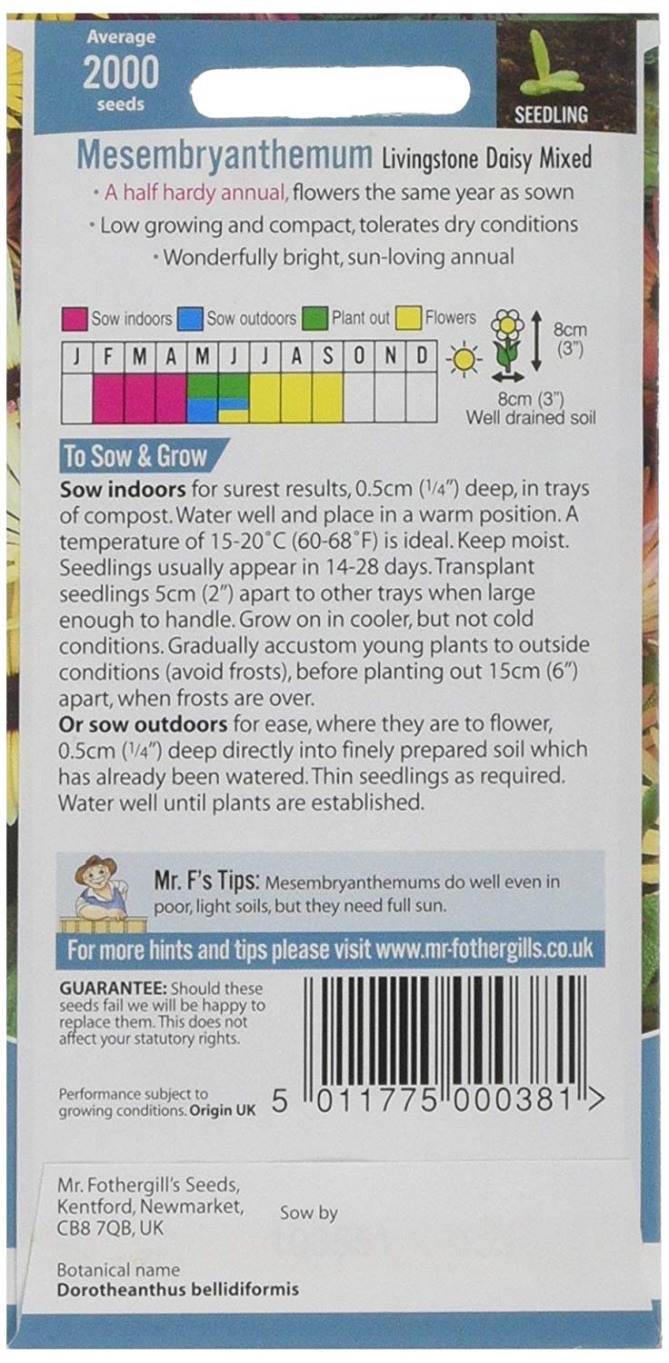 Mr.Fothergill's Mesembryanthemum Livings Daisy Flower Seeds