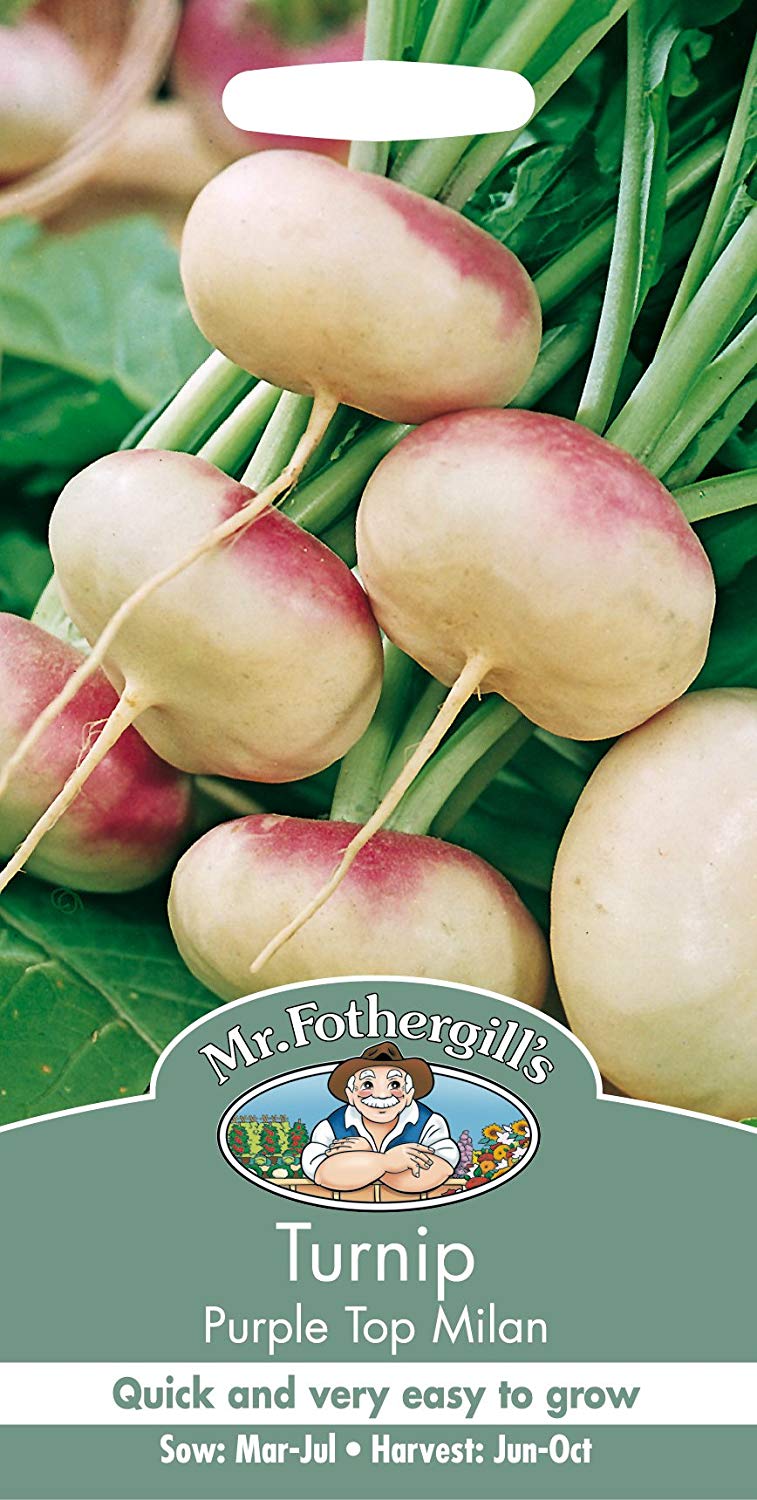 Mr.Fothergill's Turnip Purple Top Milan Seeds