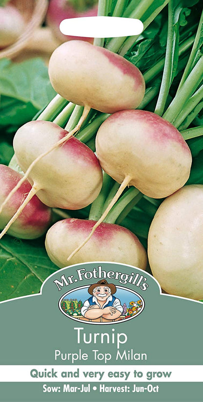 Mr.Fothergill's Turnip Purple Top Milan Seeds