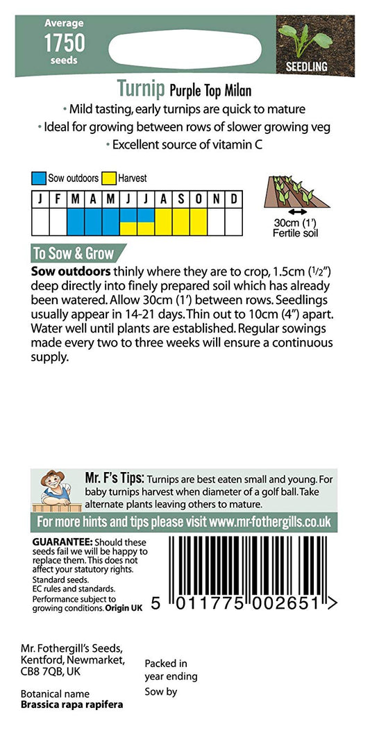 Mr.Fothergill's Turnip Purple Top Milan Seeds