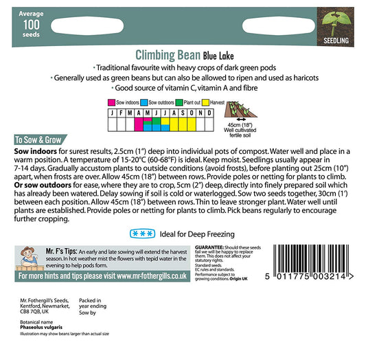 Mr.Fothergill's Climbing Bean Blue Lake Seeds