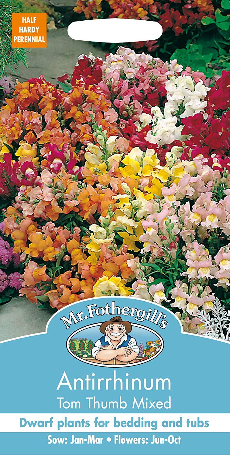 Mr.Fothergill's Antirrhinum Tom Thumb Mixed Flower Seeds