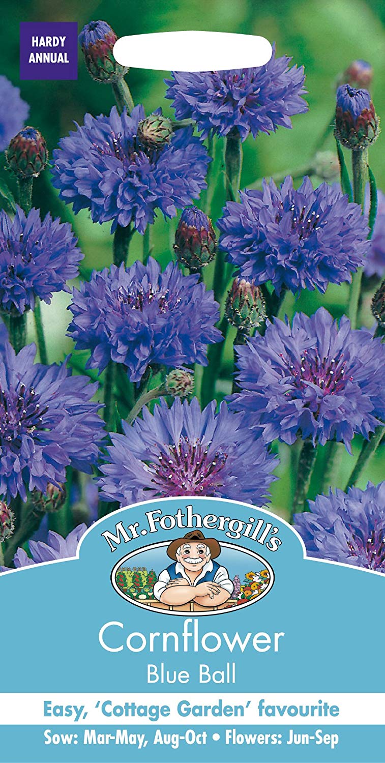 Mr.Fothergill's Cornflower Blue Ball Flower Seeds