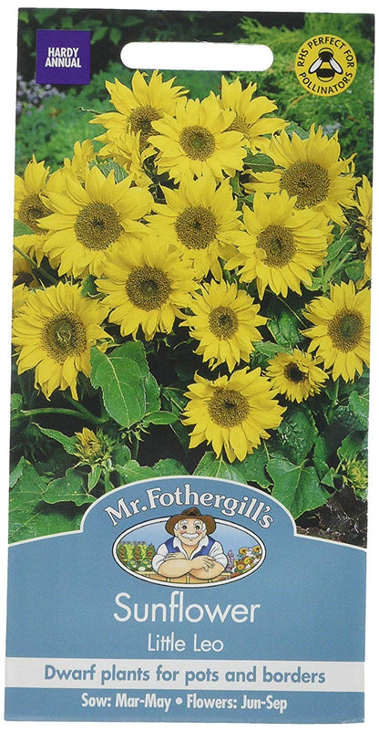 Mr.Fothergill's Sunflower Little Leo Flower Seeds