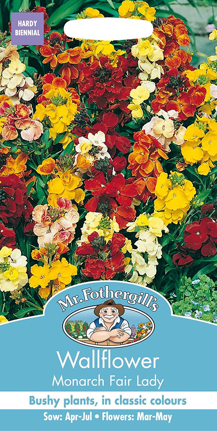 Mr.Fothergill's Wallflower Monarch Fair Lady Flower Seeds