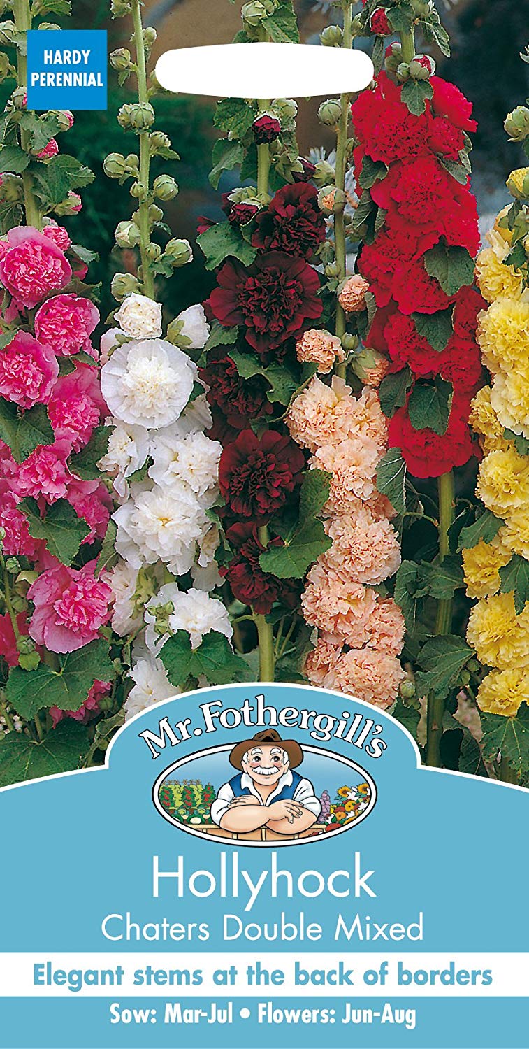 Mr.Fothergill's Hollyhock Chaters Double Mixed Flower Seeds