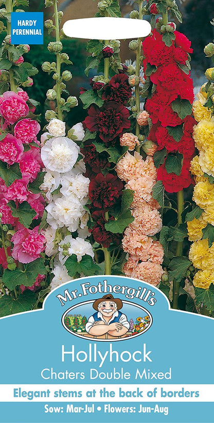 Mr.Fothergill's Hollyhock Chaters Double Mixed Flower Seeds