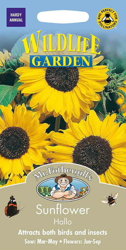 Mr.Fothergill's Sunflower Hallo