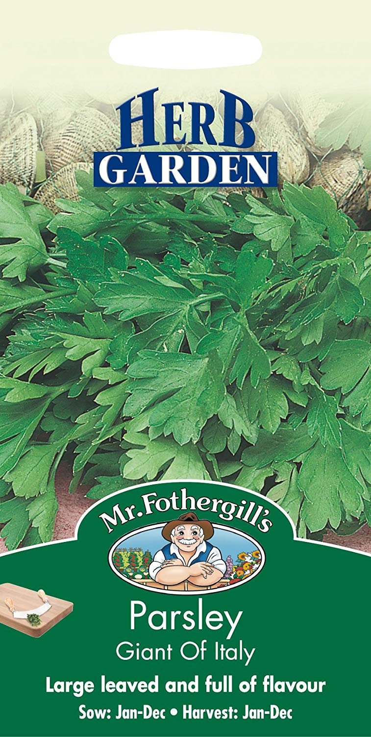 Mr.Fothergill's Parsley Giant Of Italy Seeds