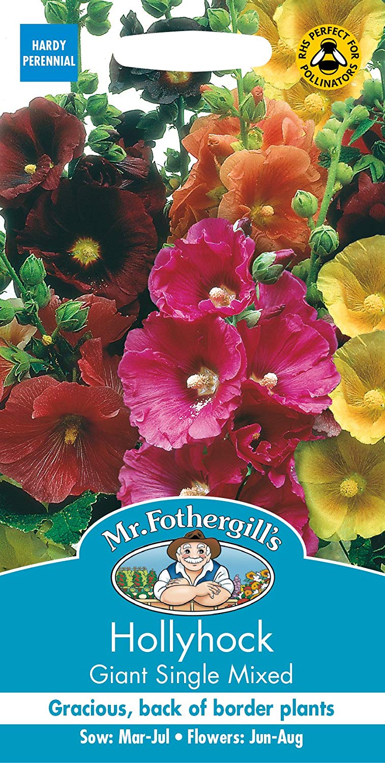 Mr.Fothergill's Hollyhock Giant Single Mixed Flower