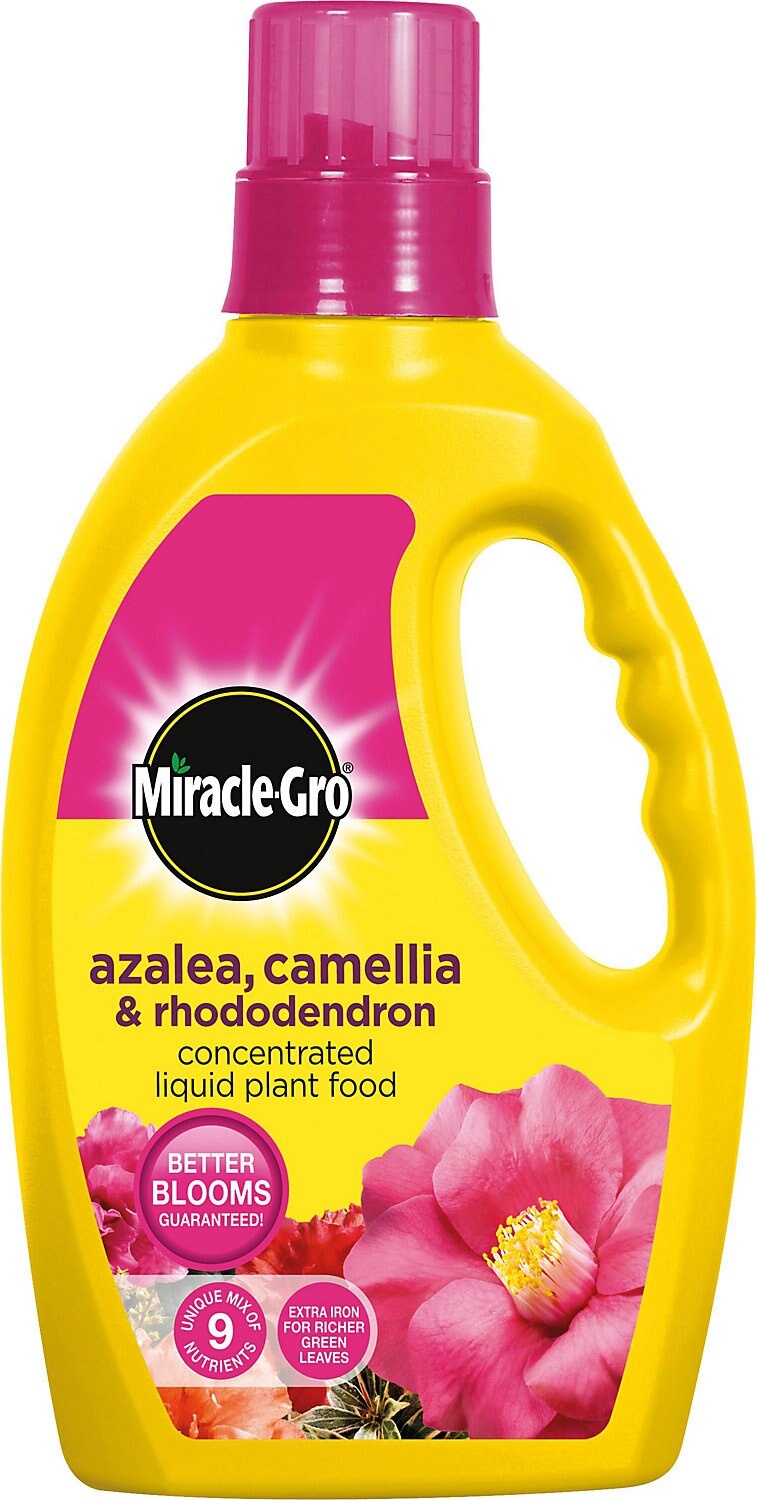 Miracle-Gro Liquid Ericaceous Plant Food 1 Litre