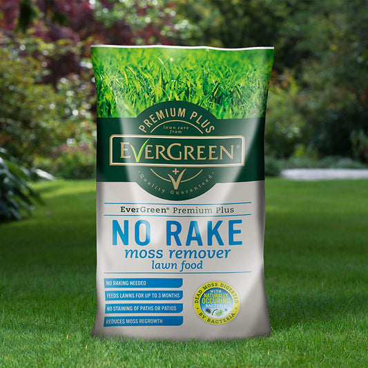 EverGreen No Rake Moss Remover 100m